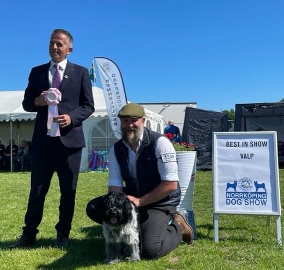 WOW!! Lilla Inca slog till och blev Best In Show Valp på SKK Norrköping! Vi är såå grymt stolta.