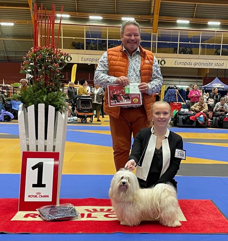 Emme o Hugo BEST IN SHOW Junior Handling, Växjö. Domare Martin Johansson